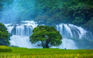 Nhiều hoạt động hấp dẫn tại Lễ hội du lịch thác Bản Giốc ở Cao Bằng