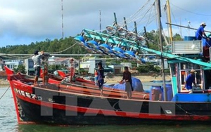 Ứng phó cơn bão số 8: Bình Thuận cấm tàu thuyền ra biển hoạt động