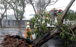 Hình ảnh Nam Trung Bộ và Nam Bộ tan hoang khi bão số 9 quét qua