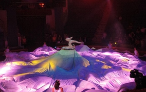 Có cảm giác ngành xiếc như đang bị bỏ rơi?