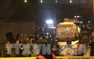 Vụ đoàn khách Việt Nam bị đánh bom ở Ai Cập: 3 nạn nhân tử vong đã được đưa về Việt Nam