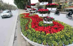 Trang trí đường phố chào năm mới ở Hà Nội: Sẽ không còn 'thảm họa'?