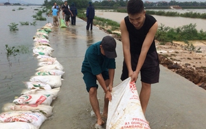 Hà Nội chủ động xử lý các điểm đê xung yếu trước mùa mưa bão 2019