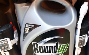 Tòa án Mỹ buộc Monsanto trả hơn 2 tỷ USD cho cặp vợ chồng mắc ung thư
