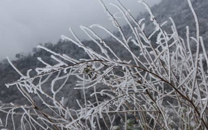 Vùng núi cao Bắc Bộ có băng giá và sương muối