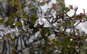 Thời tiết Tết Nhâm Dần 2022: Rét đậm, rét hại tại Bắc Bộ kéo dài đến 5/2