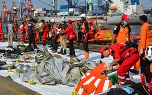 Vụ rơi máy bay tại Indonesia: Chiến dịch tìm kiếm kéo dài cả đêm