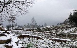 Nhiệt độ giảm sâu, băng tuyết phủ trắng nhiều nơi ở Hà Giang