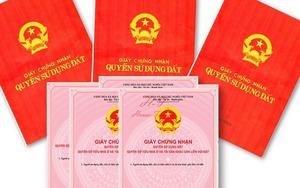 Truy tố kẻ thuê người đóng giả gia chủ để lừa bán đất tại Hà Nội