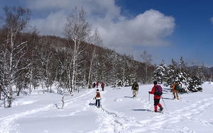 Nhiệt độ băng giá ở dãy Alps của Thụy Sĩ đạt mức cao kỷ lục