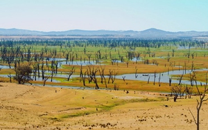 LHQ: Nhiệt độ Trái Đất có thể tăng 1,5 độ C trong 5 năm tới