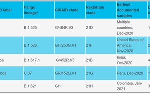 Cơ quan Quản lý dược phẩm châu Âu lo ngại về biến thể Mu