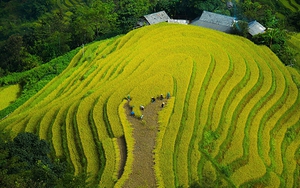 Chất lượng không khí nhiều điểm ở Bắc Bộ, Nam Bộ không tốt cho sức khoẻ