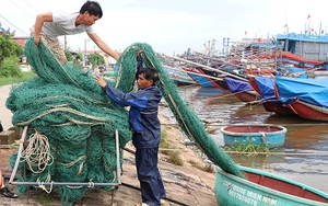Tin bão khẩn cấp cơn bão số 8 và các chỉ đạo ứng phó