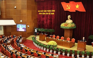 Quy định về những điều đảng viên không được làm