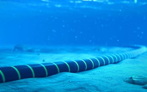 Kết nối internet Việt Nam đi quốc tế bị ảnh hưởng do 3 tuyến cáp biển gặp sự cố