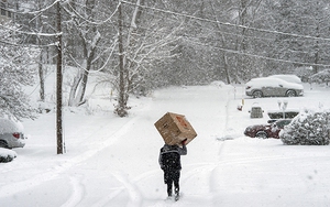 Mỹ: Nhiều bang tuyên bố tình trạng khẩn cấp do bão tuyết