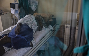 Đến nay, toàn thế giới đã có hơn có 5.264.000 ca tử vong vì dịch Covid-19