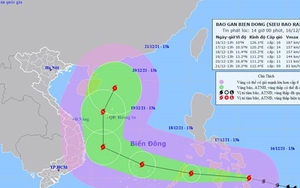 Thủ tướng Chính phủ chỉ đạo ứng phó khẩn cấp với siêu bão Rai