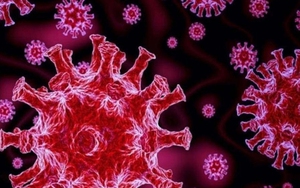 Nghiên cứu đầu tiên chỉ ra tỷ lệ tử vong ở người mắc Covid-19 Delta cao hơn do Omicron