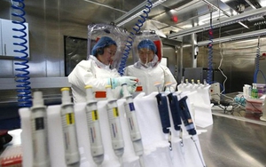 Những nghiên cứu mới nhất về nguồn gốc của đại dịch Covid-19