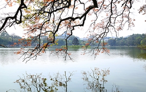 Hồ Gươm soi bóng