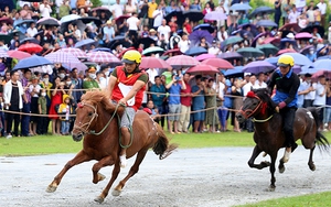 Lào Cai: Ngựa thồ tung vó trên cao nguyên Bắc Hà