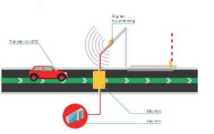 Khẩn trương triển khai thu phí không dừng tại TP.HCM