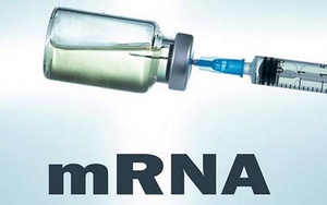 Mỹ phê duyệt tiêm vaccine mRNA ngừa Covid-19 cho trẻ 6 tháng đến 5 tuổi