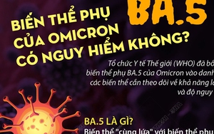 Biến thể phụ BA.5 khiến nhiều nước tăng số ca Covid-19; Việt Nam theo dõi chặt, thúc đẩy tiêm vaccine