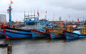 Ứng phó với bão số 1: Quảng Ngãi kêu gọi tàu, thuyền khẩn trương di chuyển ra khỏi vùng nguy hiểm