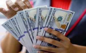 Tỷ giá trung tâm không đổi