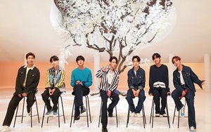 Jungkook BTS thống trị mạng xã hội Nhật Bản với màn trình diễn mới nhất