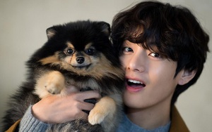 V BTS còn có 1 'con nuôi' tận châu Phi mà ARMY chưa biết