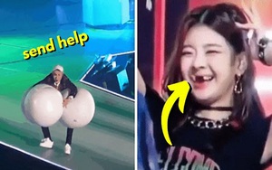 20 khoảnh khắc 'chết cười' của sao Kpop: BTS, Blackpink, ITZY, Red Velvet...