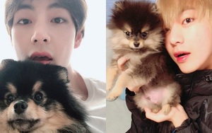 Đối tượng khiến ARMY ghen tị nhất được BTS cưng nựng mọi lúc