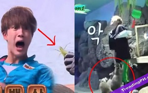 12 thần tượng Kpop không thể sống sót một mình trong tự nhiên: BTS, EXO...