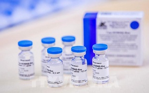 Bộ Y tế: Phê duyệt vaccine của Nga cho nhu cầu cấp bách phòng Covid-19