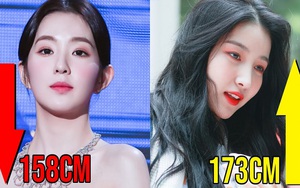 Xếp hạng chiều cao 13 nhóm nữ K-pop hot nhất hiện nay: Blackpink, Twice…