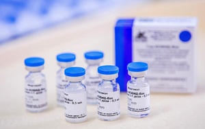 Việt Nam đàm phán mua 20 triệu liều vaccine Sputnik V phòng Covid-19 trong năm 2021