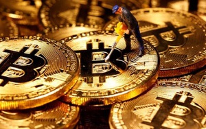 Quốc gia đầu tiên trên thế giới công nhận tính hợp pháp của đồng Bitcoin