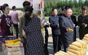 Triều Tiên đối mặt với khủng hoảng lương thực trầm trọng nhất trong hơn 10 năm qua