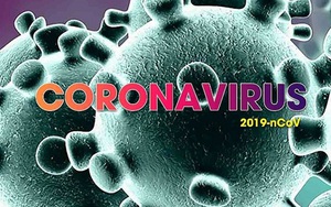 Phát hiện mới về thời điểm xuất hiện virus SARS-CoV-2