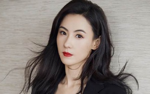 Sự thật về tin đồn ngọc nữ Trương Bá Chi hẹn hò với… bố chồng