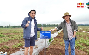 HLV Kiatisuk, Công Phượng, Xuân Trường, Tuấn Anh trồng 'tương lai' cùng bầu Đức