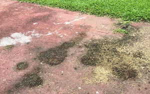 Công Phượng, Xuân Trường ‘phát khóc’ vì ‘sân ruộng’ ở SEA Games