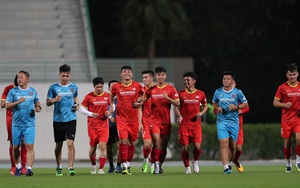 Lịch thi đấu giao hữu: Việt Nam vs Jordan. VTV6 trực tiếp bóng đá Việt Nam