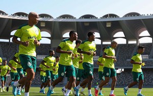 Soi kèo nhà cái Palmeiras vs Al Ahly. Nhận định, dự đoán bóng đá Club World Cup (23h30, 8/2)