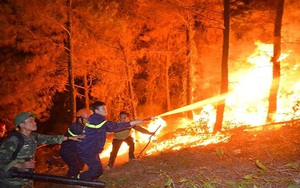 Khởi tố, bắt tạm giam đối tượng liên quan đến vụ cháy rừng ở Hà Tĩnh