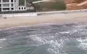 Romania điều tra vụ hơn 130 kg cocaine trôi dạt ngoài biển